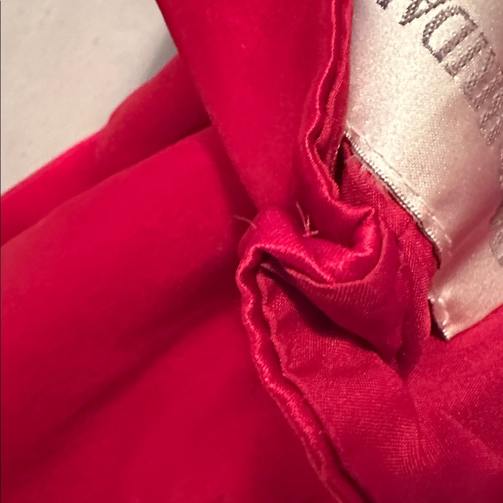 David's Bridal Strapless Scarlet Gown - Picture 16 of 16